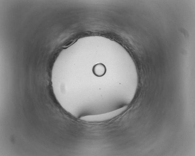 X0000115051253200911231146