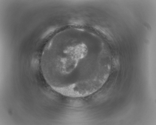 X0000115051254200911231146