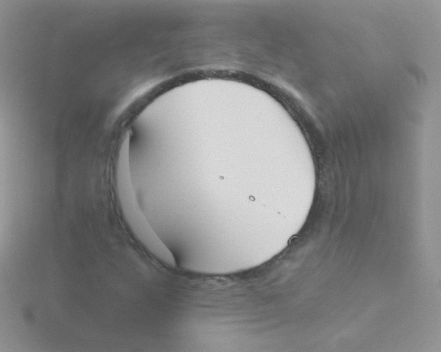 X0000115051255200911231146