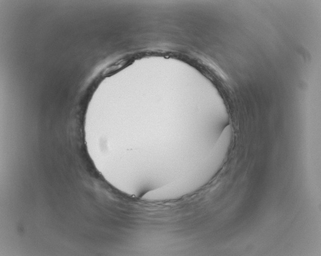 X0000115051256200911231146