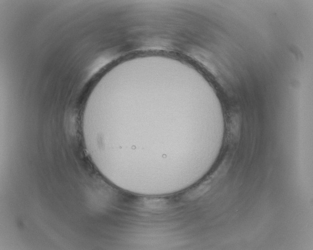 X0000115051258200911231146