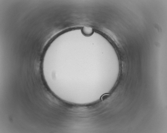 X0000115051260200911231146