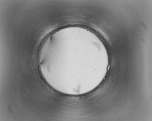 X0000115051261200911231146