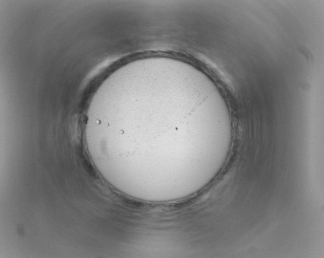 X0000115051262200911231146