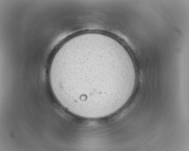 X0000115051263200911231146