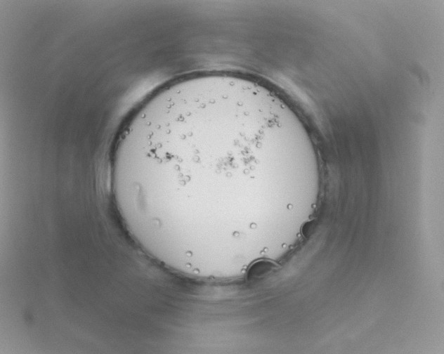 X0000115051269200911231146