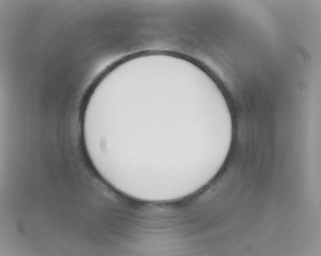 X0000115051270200911231146