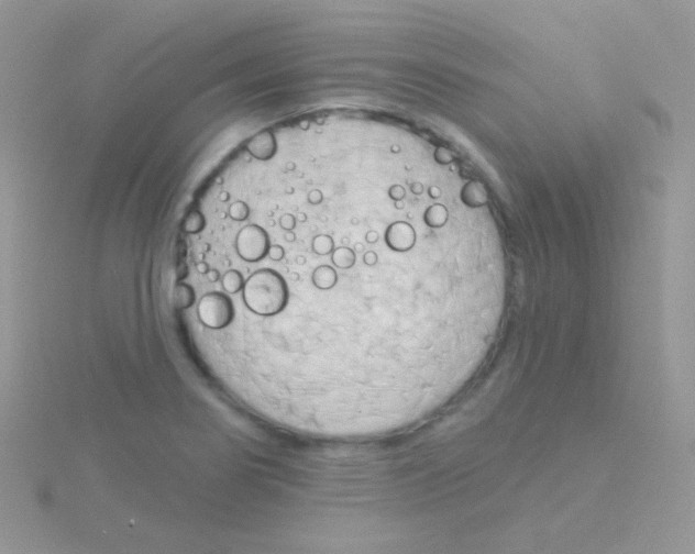 X0000115051274200911231145