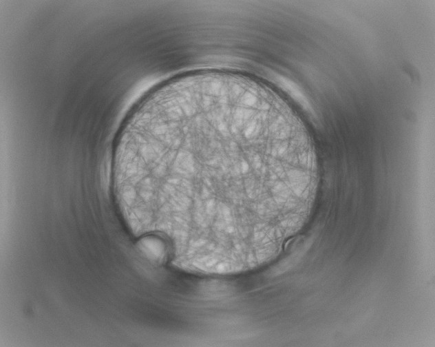 X0000115051275200911231145