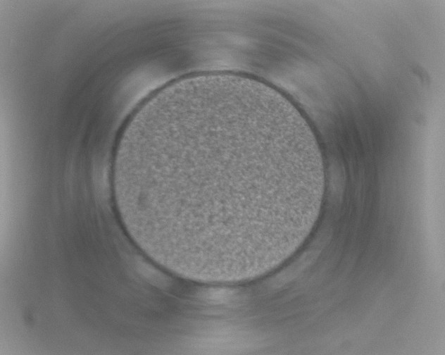 X0000115051278200911231145