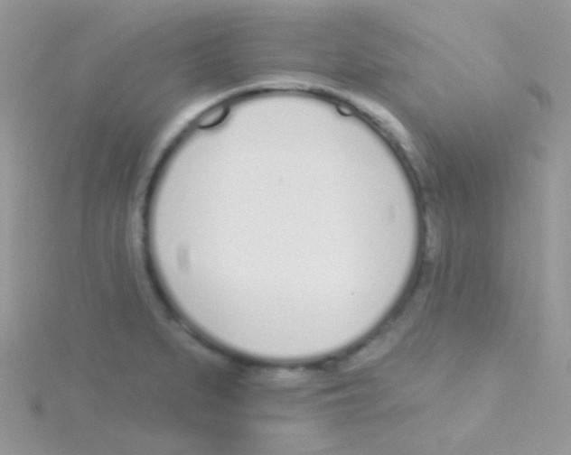 X0000115051279200911231145