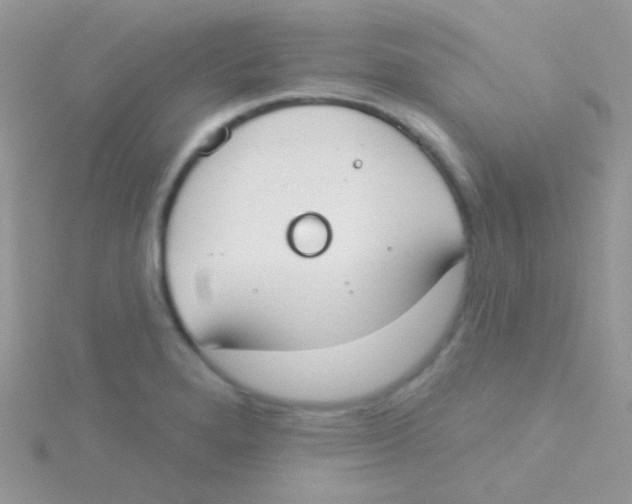 X0000115051280200911231145