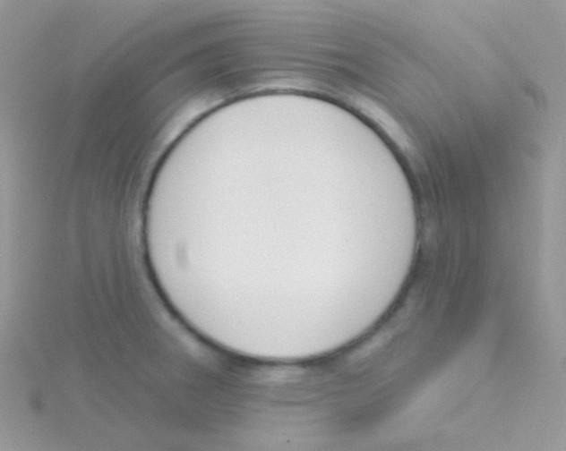 X0000115051282200911231145