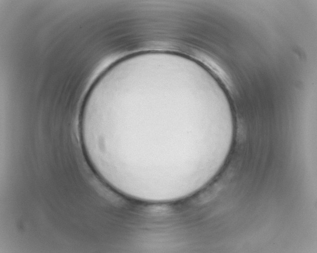 X0000115051283200911231145