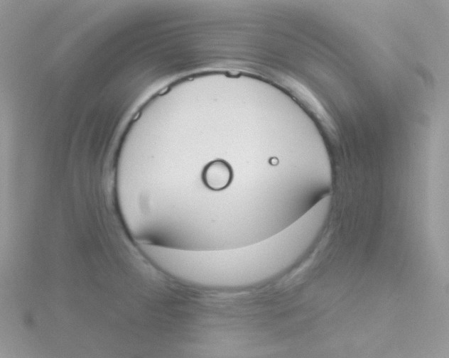 X0000115051284200911231145