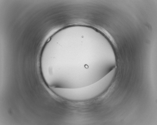 X0000115051285200911231145