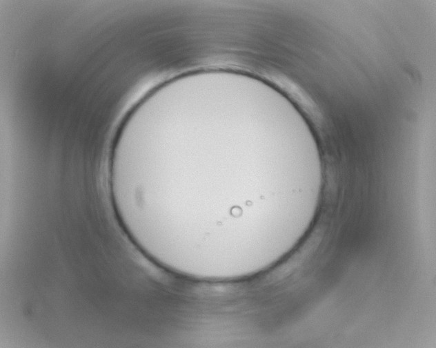 X0000115051286200911231145