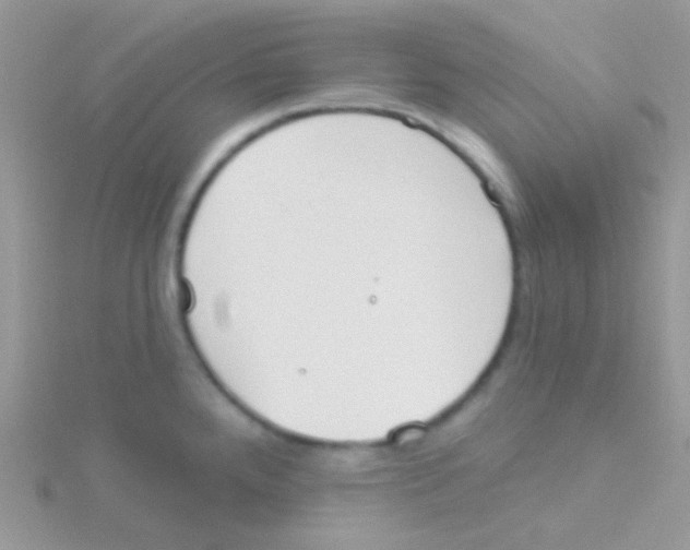 X0000115051288200911231145