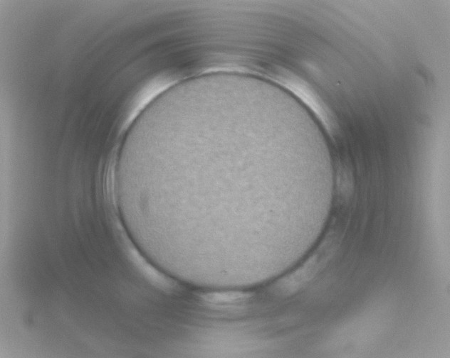 X0000115051290200911231145