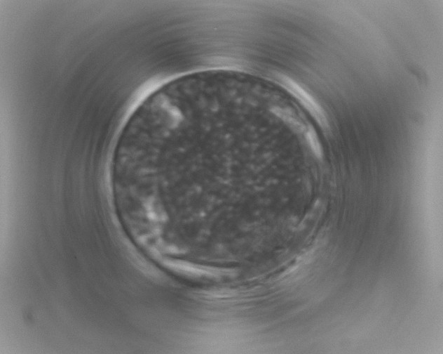 X0000115051291200911231145