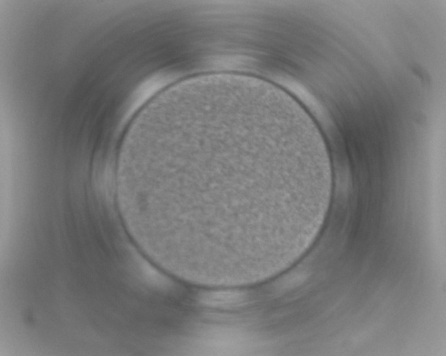 X0000115051294200911231145