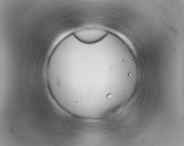 X0000115051295200911231145