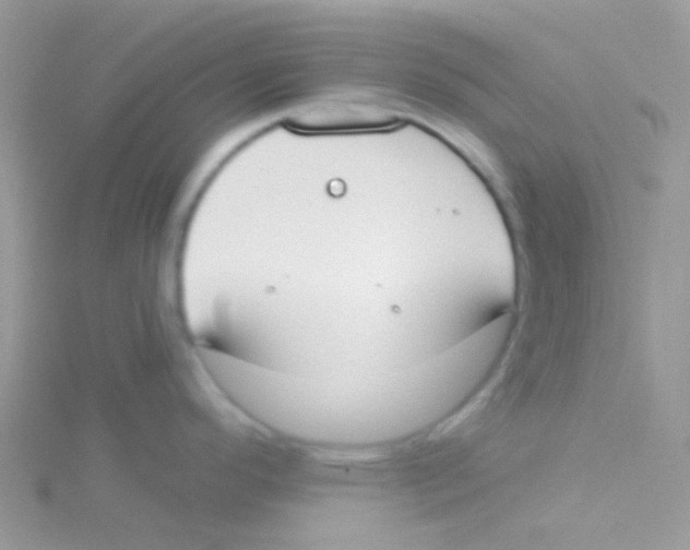 X0000115051296200911231145