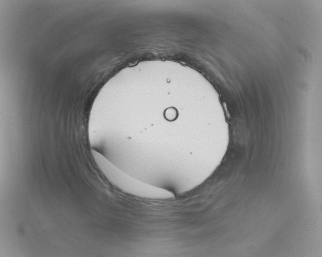 X0000115051298200911231145