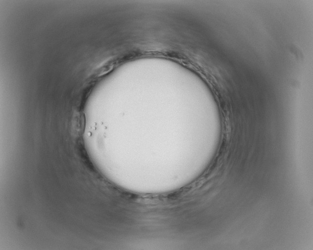 X0000115051301200911231145