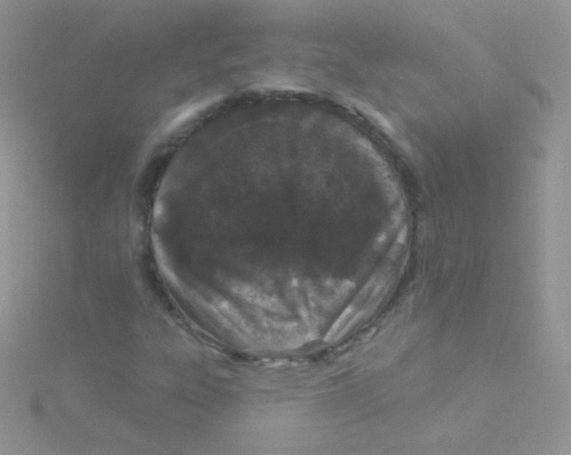 X0000115051303200911231145