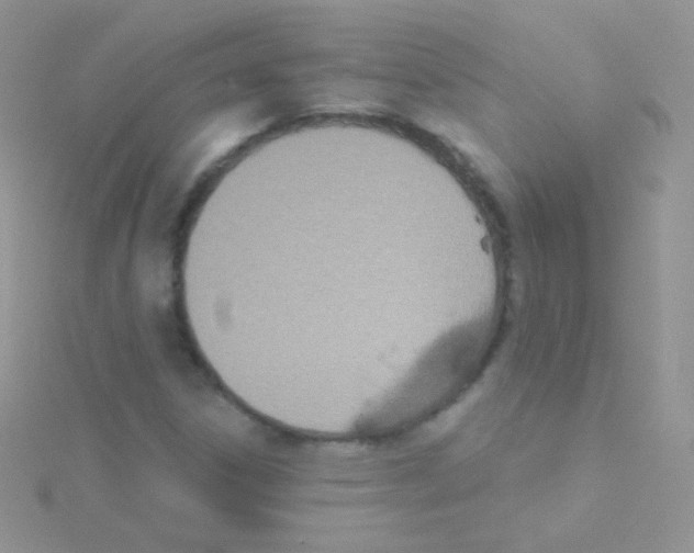 X0000115051306200911231145