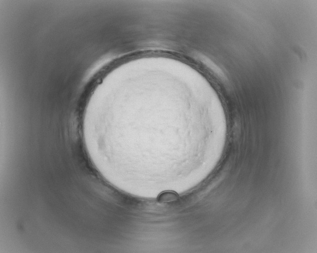 X0000115051310200911231145