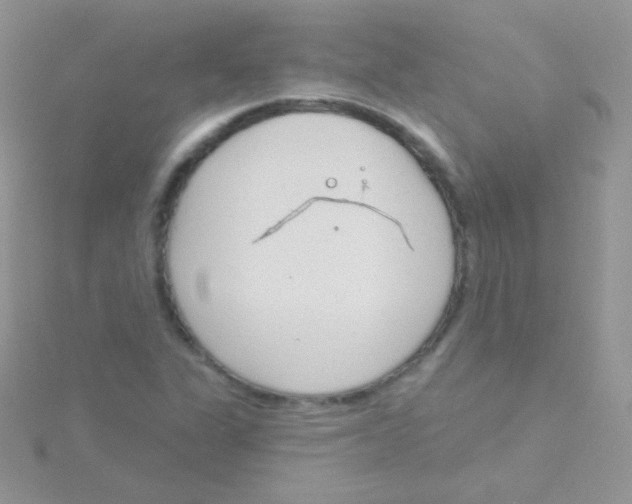 X0000115051311200911231145