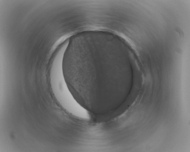 X0000115051314200911231145