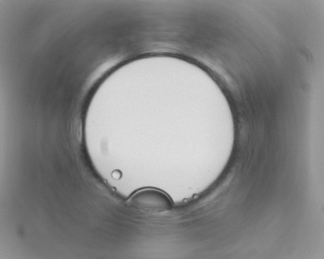 X0000115051317200911231145