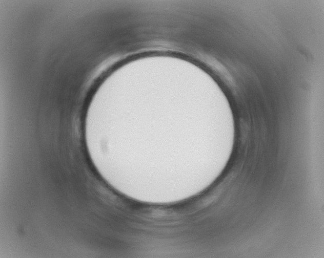 X0000115051318200911231145