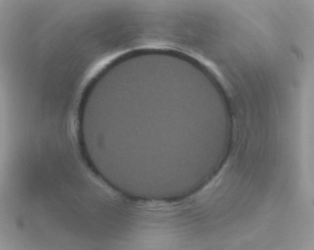 X0000115051319200911231145