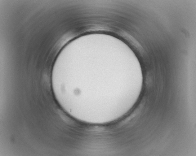 X0000115051321200911231145