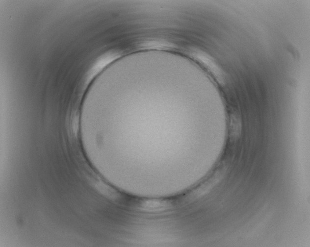 X0000115051322200911231145