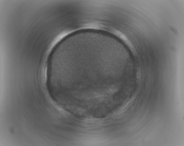 X0000115051323200911231145