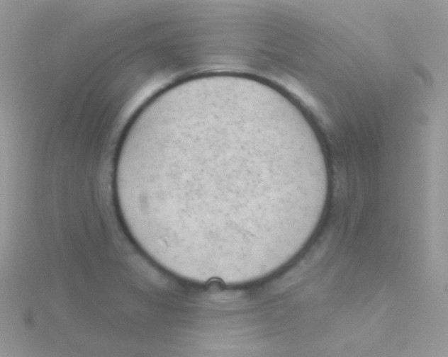 X0000115051325200911231145