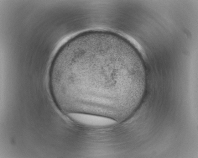 X0000115051327200911231145