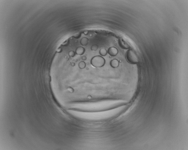 X0000115051329200911231145