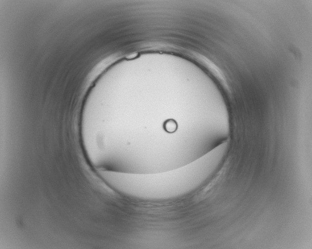 X0000115051330200911231145