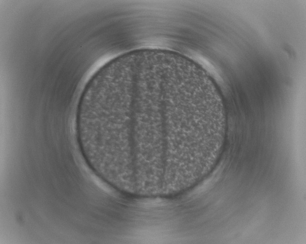 X0000115051331200911231145