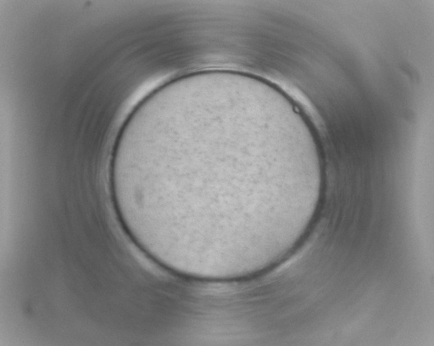 X0000115051333200911231145