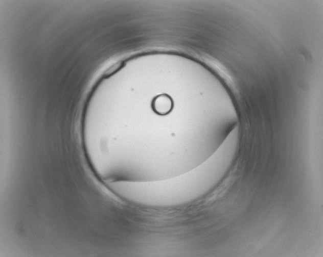 X0000115051334200911231145