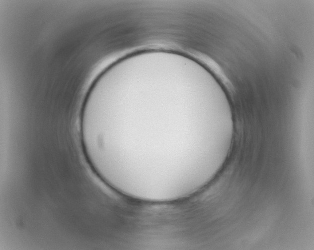 X0000115051335200911231145