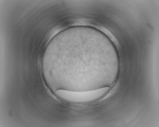 X0000115051337200911231145