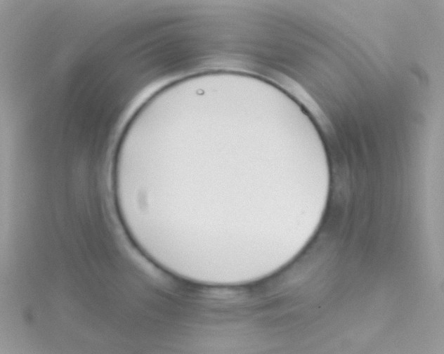 X0000115051339200911231145